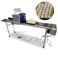 Commercial egg printing machine/inkjet printer for eggs/egg continuous inkjet printing machine